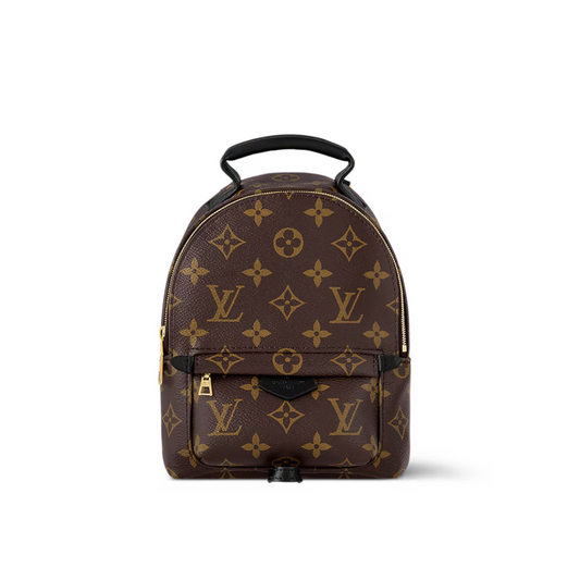 LOUIS VUITTON PALM SPRINGS MINI BACKPACK - BROWN